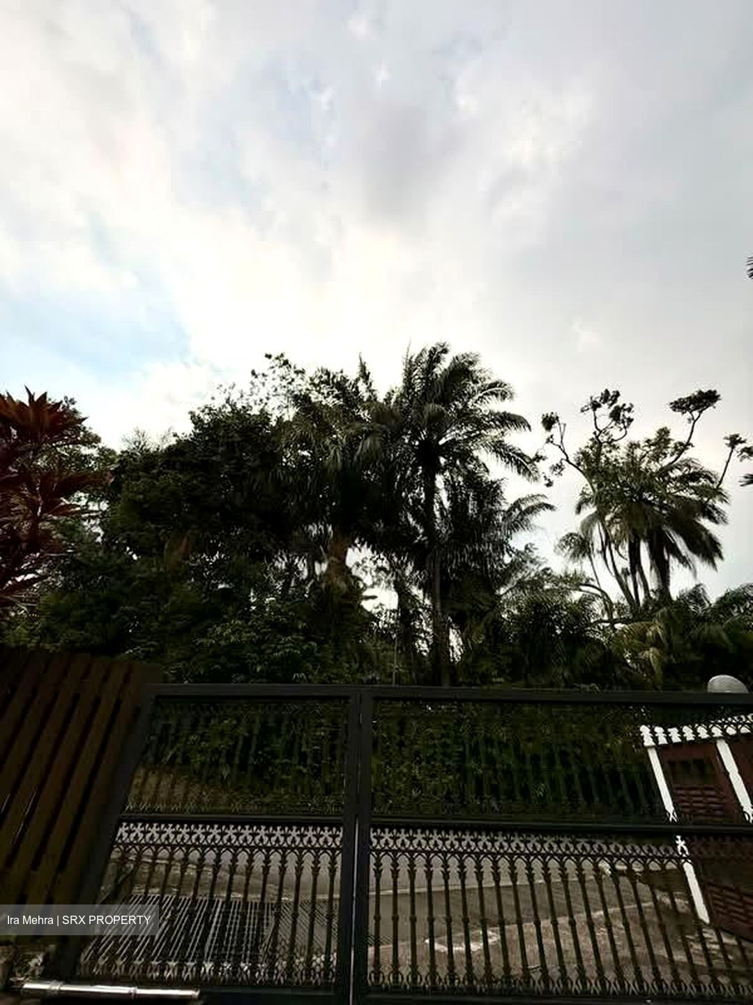 Cluny Park (D10), Detached #604383421